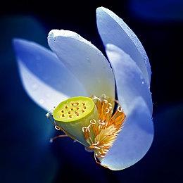 《无名九使：觉醒》IGN 5分 战斗无趣、剧情一般